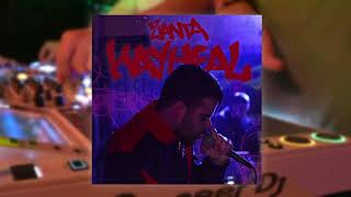 KayHeal  ZANTA Live Loop Visual [upl. by Nilorac]