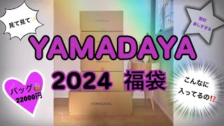 【2024 ヤマダヤ 福袋開封】開封疲れるくらい沢山入ってた‼️あんなものやこんなものまで⁉️ [upl. by Kironde]