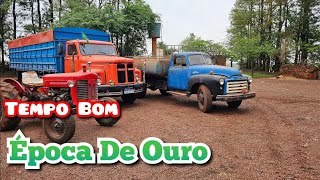 Frota Bruta MF 50 Scania 101 GMC 350 Gasolina Funcionando TupãssiPr [upl. by Yelsnia]