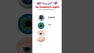 Eye Parts and Functions Learn Eye Vocabulary in English  English Vocabulary for All english [upl. by Eselrahc]