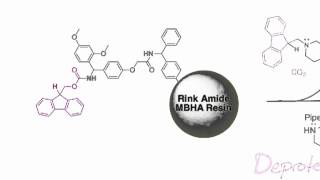 Fmoc Solid Phase Peptide Synthesis [upl. by Nolrac27]