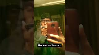 Harmonica Beatbox Freestyle [upl. by Ian]