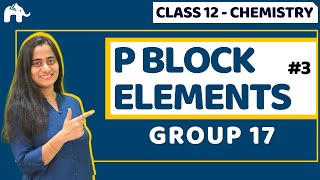 P Block Elements Class 12  Group 17  Halogens CBSE NEET JEE [upl. by Hennebery]