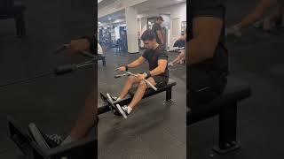 Seated Row Pronated Grip [upl. by Anirdnajela]