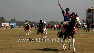 Sikhs do tent pegging  an ancient cavalry sport [upl. by Clova146]