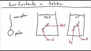 Introduction to Surfactants [upl. by Nodyarg]