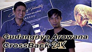 GUDANG ARWANA CROSSBACK 24K Malaysia [upl. by Kroy]