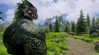 3 must have Argonian mods  Skyrim LE [upl. by Enitsirt]