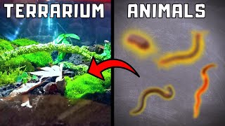 I moved THESE animals into my ecosystem terrarium [upl. by Nahgrom]