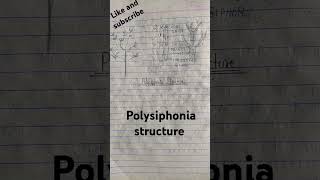 Polysiphonia essay structure Bsc bed 1st sem [upl. by Atidnan]