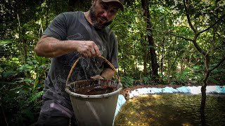 Colocamos peixes no açude  Projeto Refúgio Ep27 [upl. by Lauree]