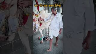 Lo sambhalo bhole apni kanwar 🔱🙏 bolbamsong gaumata shorts trending viralvideo song [upl. by Sacha]