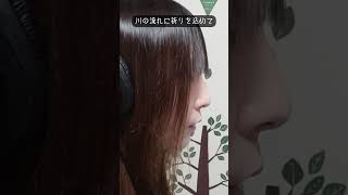 渡月橋 〜君 想ふ〜  倉木麻衣  Cover by Wish Melodies 歌ってみた covermusic cover coversong shorts [upl. by Anitnoc]