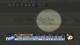 Jockey injured 2 horses euthanized Friday at Del Mar [upl. by Eidas]