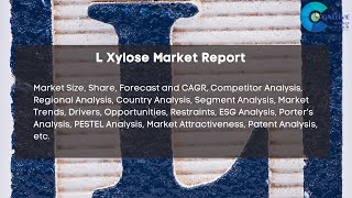 L Xylose Market Report 2024  Forecast Market Size amp Growth [upl. by Cindie]