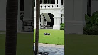 RoboRoomba at Raffles Singapore [upl. by Graner]