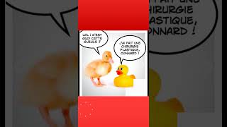 Le canard et la chirurgie plastique humour citation abonnetoi [upl. by Nealey154]