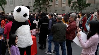 US Smithsonian Museum celebrates Chinese New Year [upl. by Vaios]