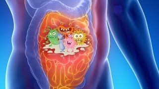 Small Intestinal Bacterial Overgrowth Updates and Clinical Implications [upl. by Fonda]