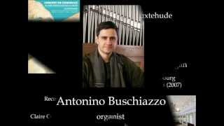 Buxtehude Vater unser im Himmelreich BuxWV 219 Antonino Buschiazzo  organ [upl. by Lindemann447]