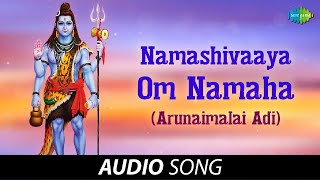 Namashivaaya Om Namaha Arunaimalai Adi  Malaiye Mahesa  Unnikrishnan  Tamil Devotional [upl. by Refitsirhc417]