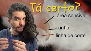 Como cortar a unha do meu gato  Veterinário de gato reagindo a técnicas de corte de unha em gatos [upl. by Nawd]