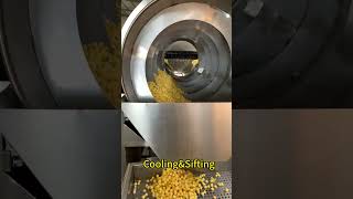 Popcorn maker machineIndustrial automatic caramel popcorn equipmentpopcornmakingmachine [upl. by Iroc]