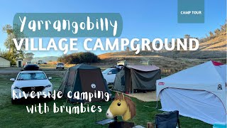 Yarrangobilly Village Campground Riverside camping with brumbies [upl. by Sellihca176]