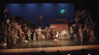 Lakewood 2014 Musical Cats  Skimbleshankes The Railway Cat [upl. by Martinson]