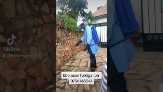 we are your fumigation partnershome fumigation pestcontrol vectorcontrol [upl. by Yrruc]