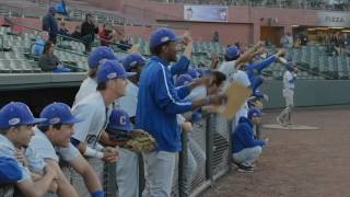 Coppin Baseball vs Delaware State Highlights  2016 MEAC Baseball Championships [upl. by Nort]