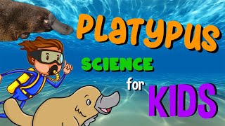 Platypus  Science for Kids [upl. by Enia]