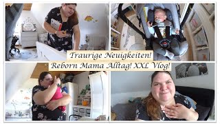 Traurige Infos  Reborn Mama Alltag  XXL Vlog  Reborn Baby Deutsch  Little Reborn Nursery [upl. by Annot]