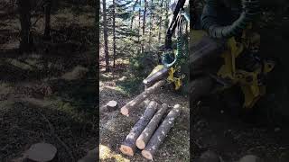 John Deere 1270G in Action  Precision Forest Management 🌲 [upl. by Trevethick600]