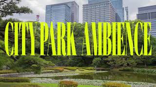 CITY PARK AMBIENCE SOUND EFFECT [upl. by Patric]