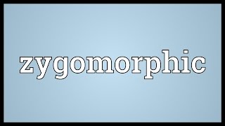 Zygomorphic Meaning [upl. by Joab710]