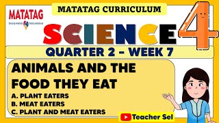 SCIENCE 4 QUARTER 2 WEEK 7 MATATAG  ANIMALS AND THE FOOD THEY EAT [upl. by Namie303]