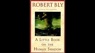 Books that will change your Life  Robert Bly on the shadow [upl. by Ymirej]