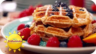 BlaubeerProteinWaffeln  leckerer Fitness Snack  SAT1 Frühstücksfernsehen [upl. by Annaerdna]