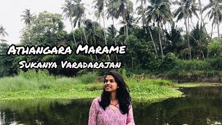 Athangara Marame  cover  Sukanya Varadharajan [upl. by Hallutama]