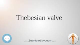 Thebesian valve Anatomy Named After People 🔊 [upl. by Inava]