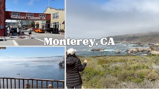 We Went To Monterey CA  Carmel  Big Sur [upl. by Eilesor685]