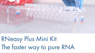 RNeasy Plus Mini Kit – the faster way to pure RNA [upl. by Grunenwald]