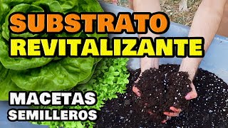 El Mejor SUSTRATO CASERO para SEMILLERO y Macetas 🌱 Sustrato para Cultivar en Huerto Urbano [upl. by Aevin]