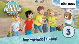 Fünf Freunde Junior  Folge 3 Timmy der MeisterdetektivDer vermisste Hund  Hörprobe zum Hörspiel [upl. by Htiffirg]