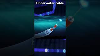 Underwater cable  shorts  facts  dailyshorts [upl. by Candless]