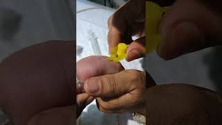 New born baby after canulla fixed 💯👍👍 viralvideo trending youtubeshorts viralshorts youtube [upl. by Vanda]