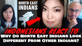 Indonesians React To Why Do North East Indians Look Different From Other Indians  FTD Facts [upl. by Malkin]