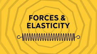 Forces amp Elasticity Hookes Law  GCSE Physics [upl. by Trebbor566]