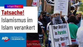 Im Gespräch mit Irfan Peci Teil 1 Islamismus im Islam verankert [upl. by Rraval]